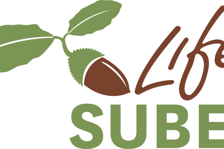 Life Suber