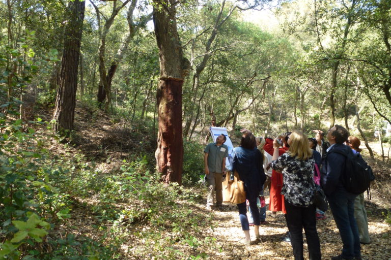 Pasejada Montnegre Corredor