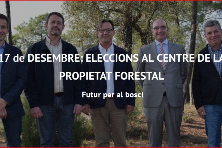Eleccions CPF