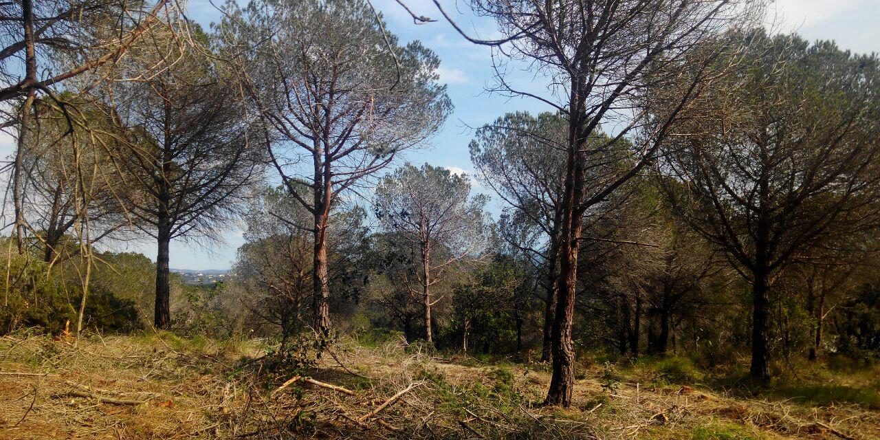 photo_2017-03-27_11-02-21