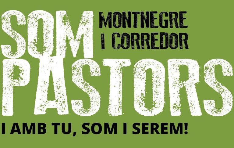 WhatsApp Image 2024-10-14 at 11.16.35