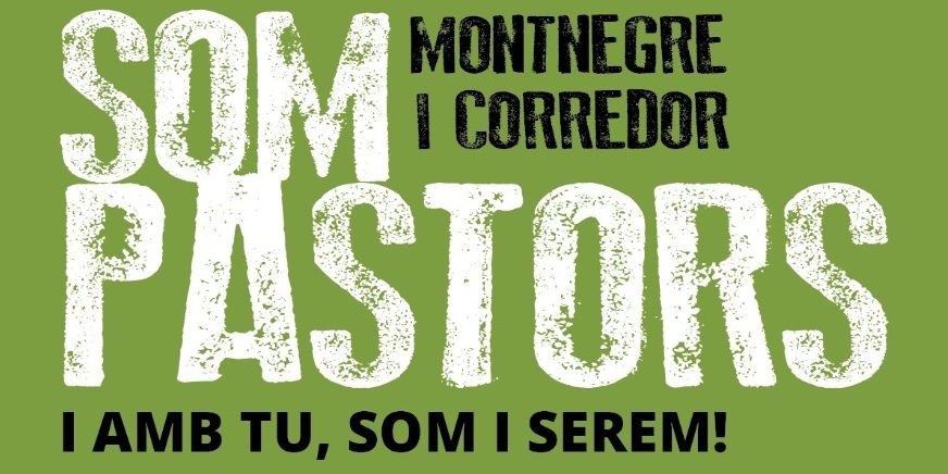 WhatsApp Image 2024-10-14 at 11.16.35