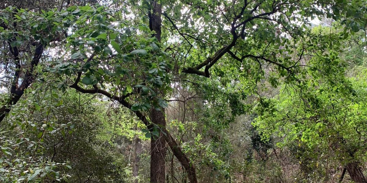 WhatsApp Image 2024-10-31 at 12.11.56