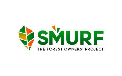 Logo Smurf_pos (1)